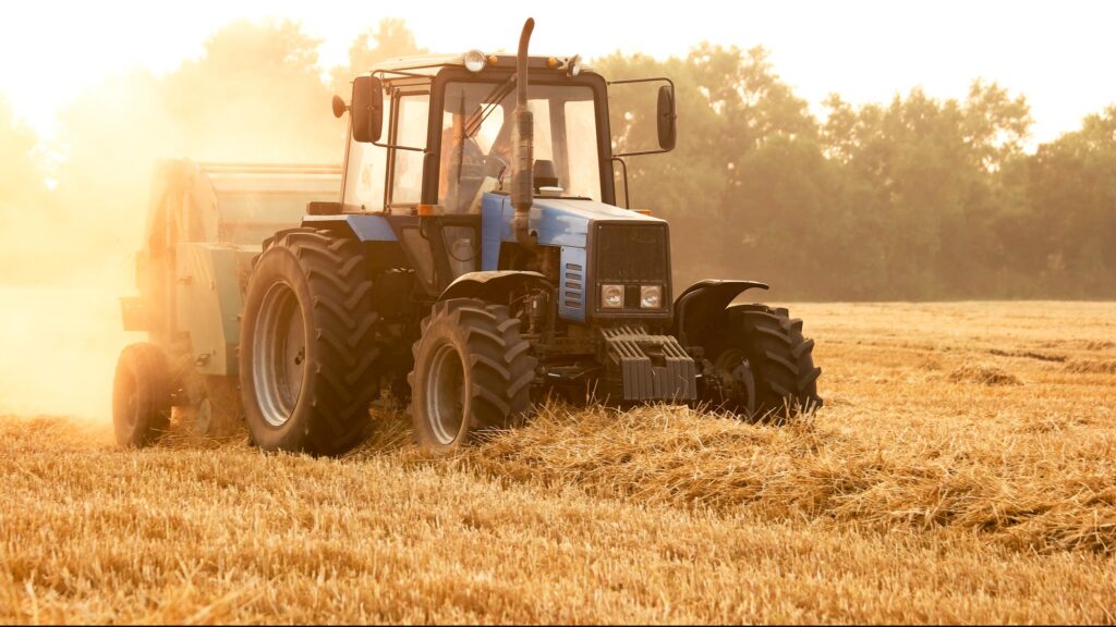 Tractor with trailer in summer on field.