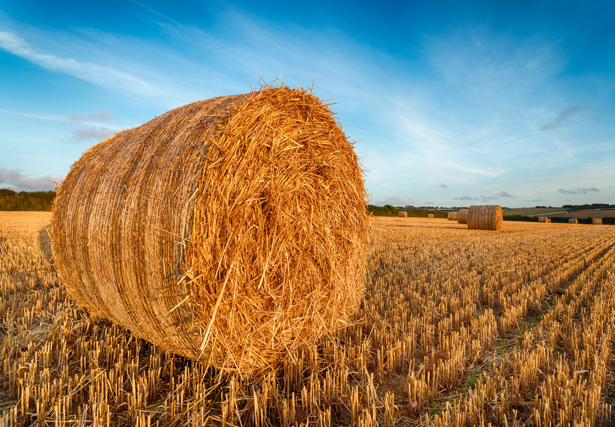 Hay Bales